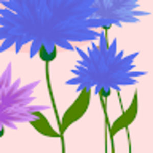 Meet your Posher, Katalina